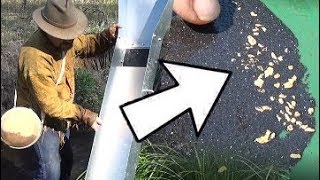 Jeff Williams Reveals Top Sluice Box Secrets For Striking D