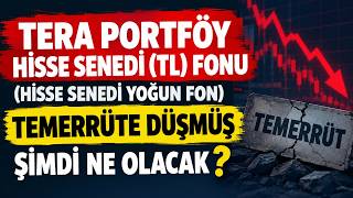 TERA PORTFÖY TL Fund has defaulted, what happens now? Stocks that could be profitable