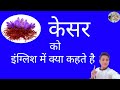 केसर को इंग्लिश में क्या कहते है । // Kesar ko English mein kya kehte hain