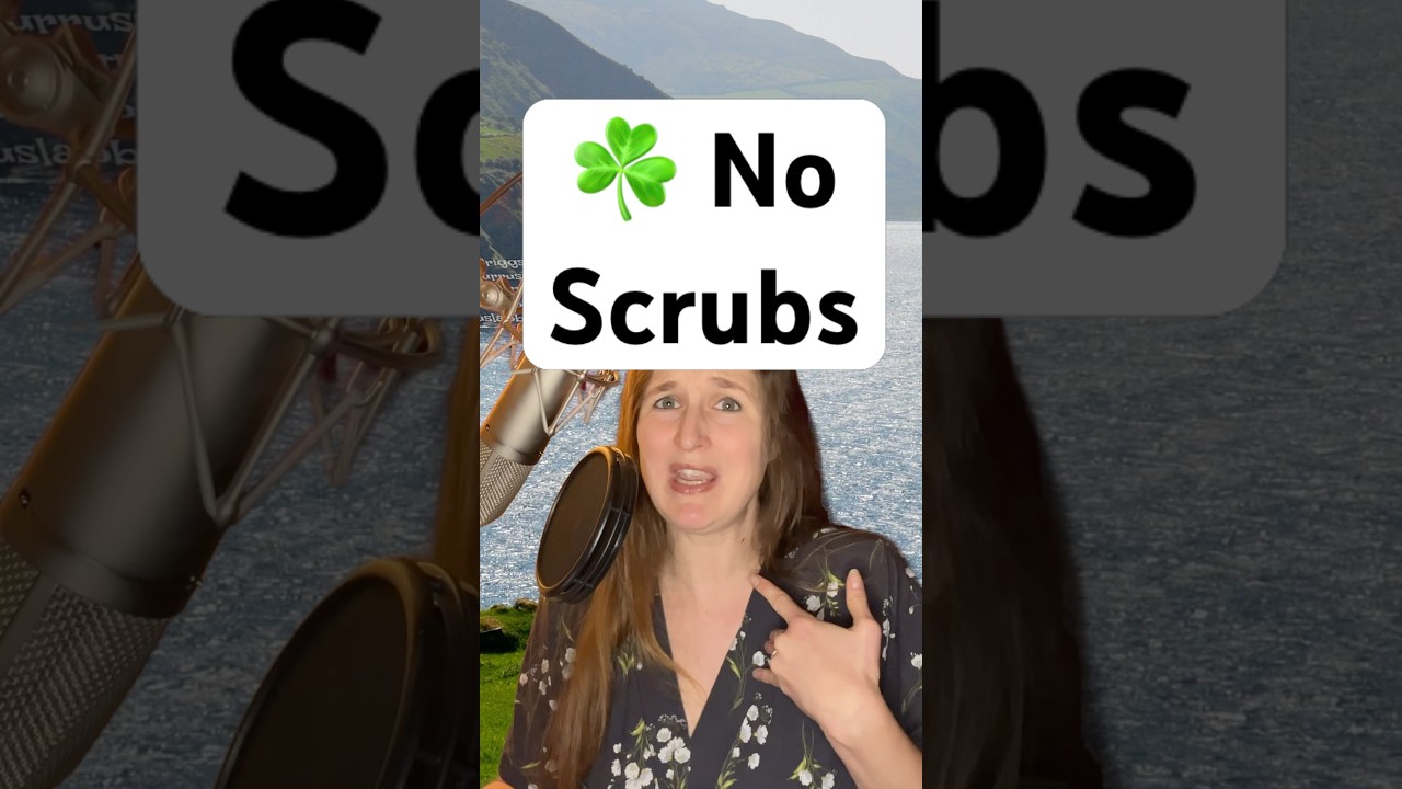 ☘️ No Scrubs feat. @eclectic.siren #noscrubs #kevinbriggs #irishjig #stpatricksday