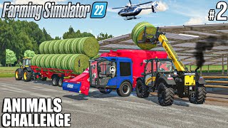 Attempting to FEED 2000 COWS and 2500 SHEEP | ANIMALS Challenge | Farming Simulator 22