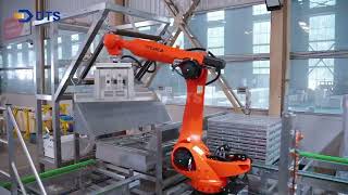Automatic Loading & Unloading System for Small-Pouch Snacks | Boosting Production Efficiency
