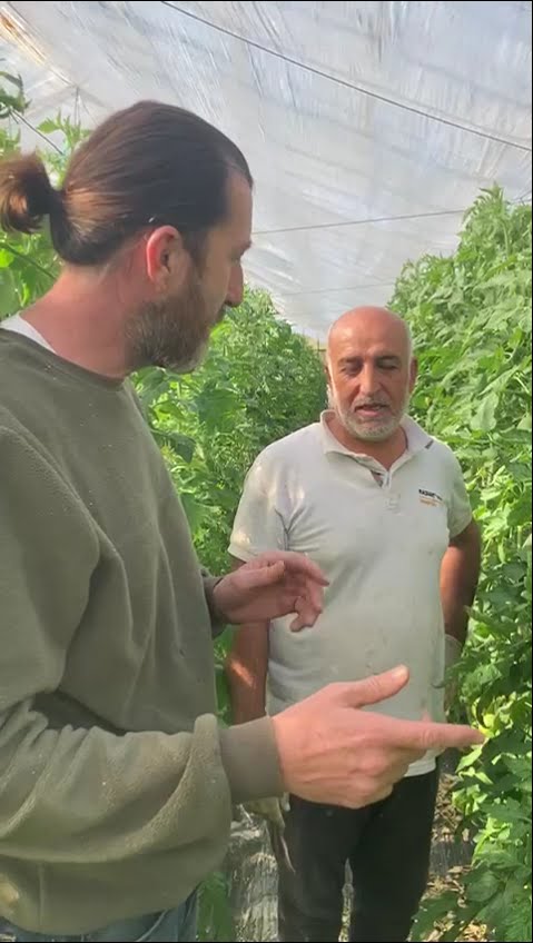 YouTube video kapağı