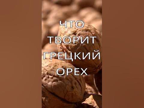 ПОЛЬЗА ГРЕЦКОГО ОРЕХА IЧто творит грецкий орех? #грецкиеорехи # ...