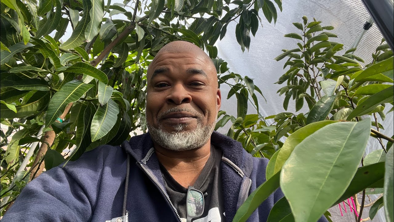 Positive vibes only chat “PVO” Lead Farmer 73 is live!