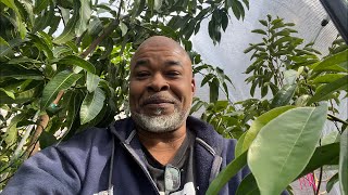 Positive vibes only chat “PVO” Lead Farmer 73 is live!