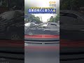 他人に周りを見ろって言う人に限って見れてないよね、、、#shorts #話題