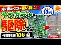 ヤブガラシ駆除｜暑すぎる夏に簡単な雑草対策を紹介します。