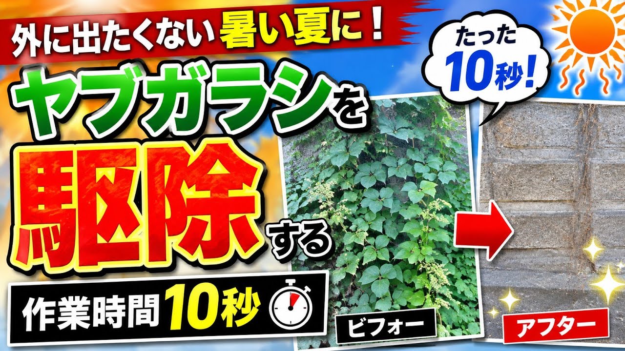 ヤブガラシ駆除｜暑すぎる夏に簡単な雑草対策を紹介します。