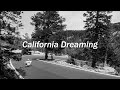 S1 Helmets/ California Dreaming