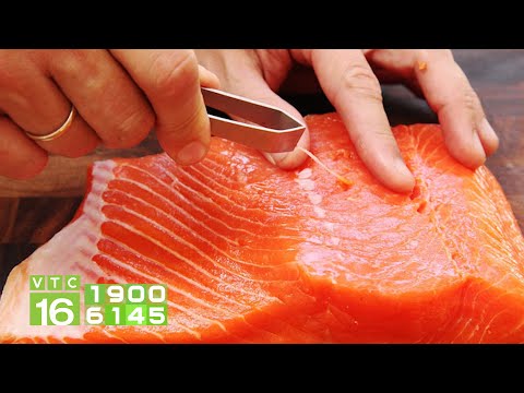 nCoV sống trong thịt cá hồi hơn 1 tuần, liệu có lây sang người? | VTC16