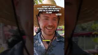 Mr.beast New Project Part 3 Monkey Island Interacting With Monkeys And The Illusion Of The Island.