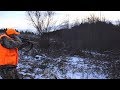 Deer Hunting and Deer Drives Last Day of Pa Gun Season 2018 - Bucks Misses & Filled Tags