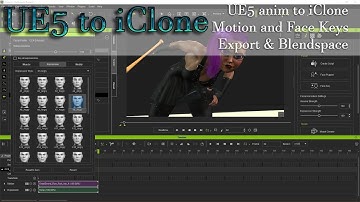 Customize UE Marketplace Animations in iClone 8
