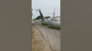 Big Anaconda Snake on Video 2 🐍🚗 #snake #Shorts