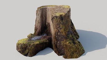 Stump 3D scan Model