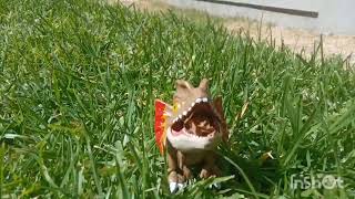 Pepe el dilophosaurus apoya a Hurakan eco-táctica