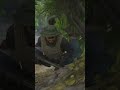 БАГИ ВСЕ ИСПОРТИЛИ | Ghost Recon Breakpoint #ghostreconbreakpoint