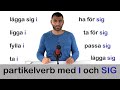 Förstå vad svenskar säger!!! (Partikelverb med I och SIG)