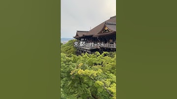 【修学旅行/旅行に🚄✨️】京都で買わないと損するもの...!? #shorts