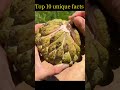 top 10 unique facts #IkkuFacts #FoodFacts #AppleLove #HealthyEating #FunFoodFact #DidYou #ikkufacts