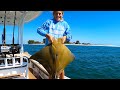 Cow Nose Ray Catch Clean and Cook!  Does It Taste like Beef?