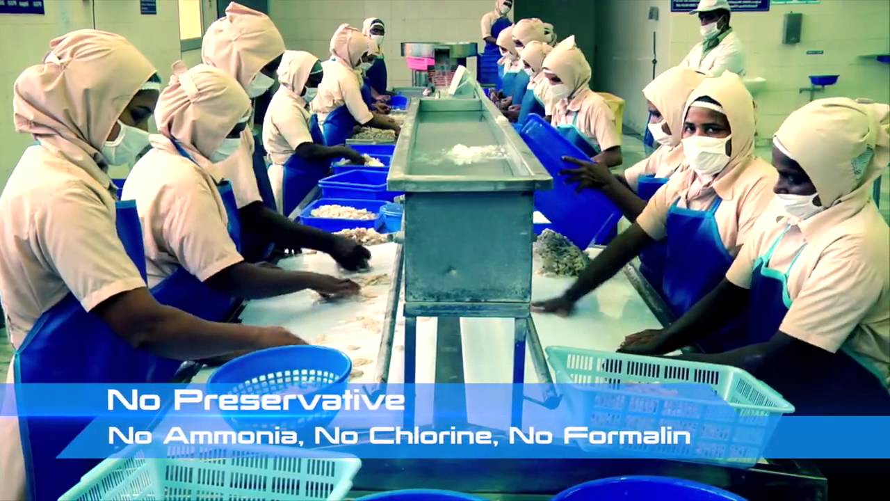 Delivering fresh seafood at your doorsteps YouTube