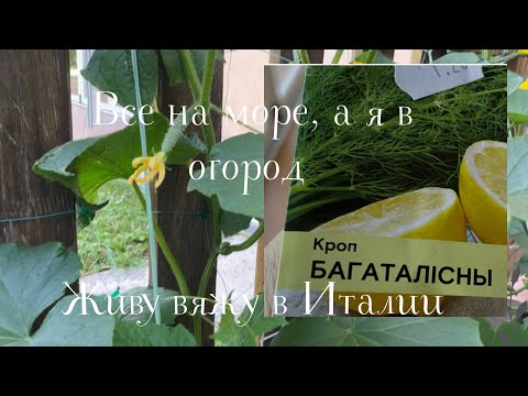 10.06.2025 Вторник! Все на море, а я в огород! 🍅🥒