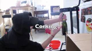 Celebrity Disgorging Enlightenment Brut! Net Worth