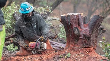 The Surprising Program Fighting California