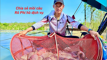Chia sẻ mồi câu cá Rô Phi | Mồi câu Đông lạnh | Đạt Anh Fishing