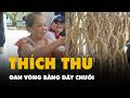 Dân miền Tây trổ tài đan võng bằng dây chuối khiến du khách thích thú
