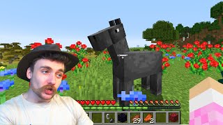 I Found the FASTEST Horse in Minecraft!