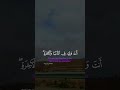 ربي اوزغني ان اشكر نعمك التي انعمت بها علينا