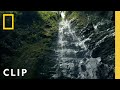 Albert Lin climbs up a treacherous waterfall in search of ancient tombs