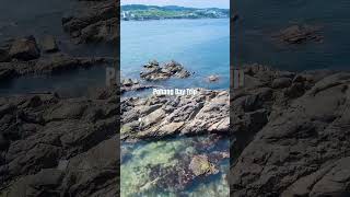 Pohang is a beautiful city with some amazing beaches and seafood.  #koreanfoodie #pohang #koreanmix