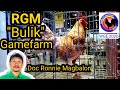 World gamefowl expo 2020 ronnie magbalon rgm bulik gamefarm