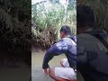 edisi mancing microfishing ternyata dapatnya ikan babon, mantap #shorts