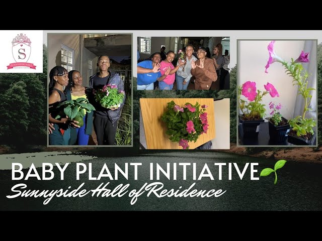 BABY PLANT INITIATIVE 2022 || SUNNYSIDE HALL OF RESIDENCE class=