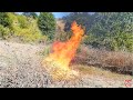 DANCE OF THE FLAMES DANCE OF THE FLAMES