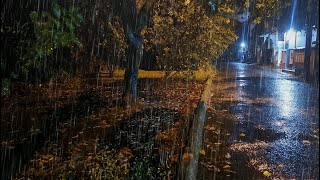 ASMR Gentle Rain 🌧️ in Front Yard with Thunder ⚡ Perfect Ambience for Study, Deep Sleep, and Peace