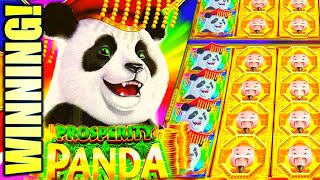 PROSPERITY PANDA BONUS UPGRADE!! (GOLD STACKS 88 EMPIRE) (ARISTOCRAT GAMING)