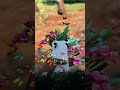 iphone16💖👀🫶🫠#igreach #iphone16 #tamilsong #dream #shorts