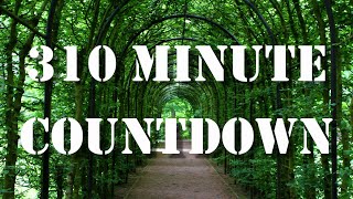 310 minute timer countdown with alarm sound effect