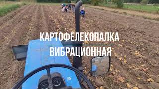 Самодельная вибрационная картофелекопалка. Первая работа.