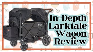 Larktale Caravan Stroller - Honest Review From a Busy Mom!