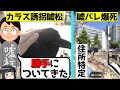 【嘘松爆死】カラスがついてきたと嘘つくツイ民が住所特定されて爆死した件をゆっくり解説 #嘘松