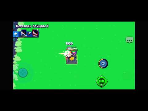 sheli-ს ფლეშ გაჯეტი