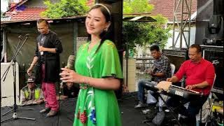 Ikan Dalam Kolam - dangdut cover  - SALMA ALFARIKHA