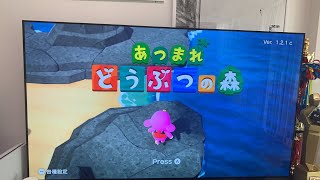 【直撮り実況】おひるの島はひさしぶりだ！！